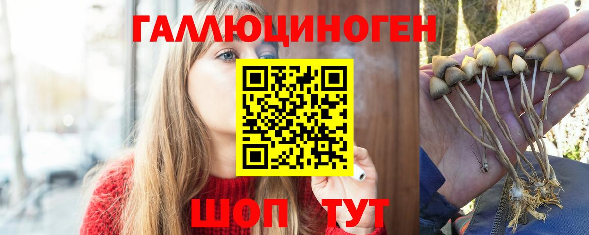 Когалым  Псилоцибиновые грибы мицелий  Галлюциногенные грибы Psilocybine cubensis  Вход с VPN 